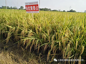 6��(y��u)�S̩ռ-ˮ���N��-�t��N�I(y��)