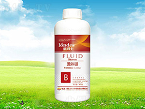 �{(l��n)��ʿ���w��-����