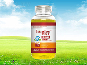 300���{(l��n)��ʿ���w��-����