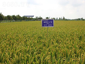 ������1̖(h��o)ˮ���N��-������