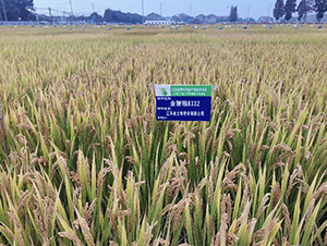 �𾬵�8332-ˮ���N��-������