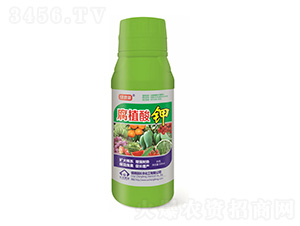 500ml��ֲ���-�G����-�L�S����