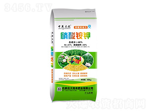 �����@�-��������