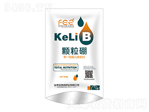 �w����-�Z����