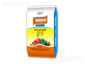 ���}⛌�-�������� 