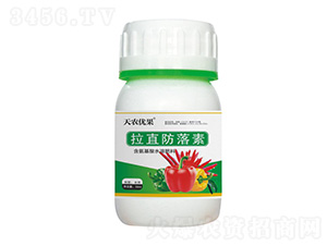 ������ֱ������-���r(n��ng)��(y��u)��-���r(n��ng)����