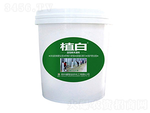 20����ֲ�׻��Ԙ�ľͿ��-������r(n��ng)