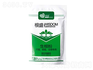 ��ʢ-����-������r