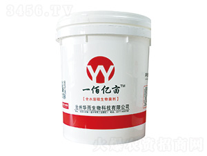 ΢�������-һ�ۃ|��