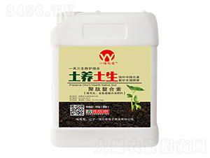 ����������-���B(y��ng)����-һ�ۃ|��