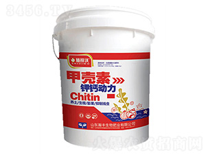 �ך�����}��(d��ng)��-ʩ����-��S����