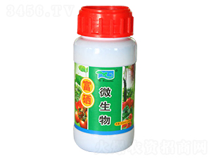 ΢���︻��-���d����