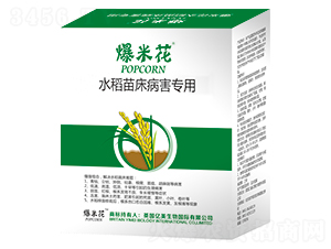 ˮ���紲��������-���׻�-�|������