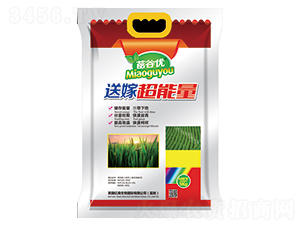 ��ȃ�(y��u)�ͼ޳�����-�|������