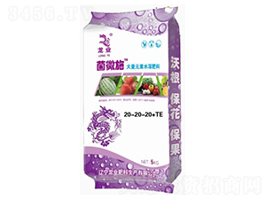 菌微施大量元素水溶肥料20-20-20+TE-龍業(yè)肥料