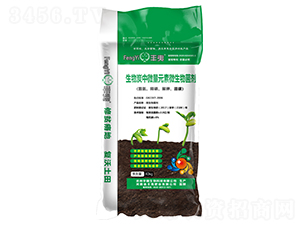 生物炭中微量元素生物菌劑-豐夷-金源甲