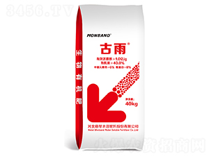 �����ЙC(j��)��-����-�Ȏ�