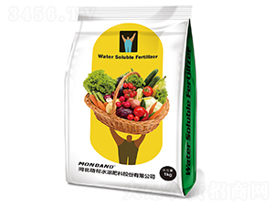 �Ȏ�����-�Ȏ�