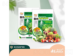 ������������ԭ��-�A����