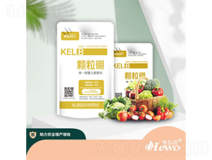 �w����-�A����