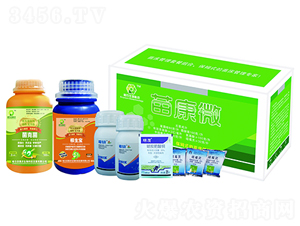 苗康微-奧農(nóng)生物