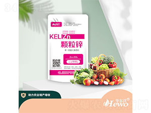 �w���\-�A����