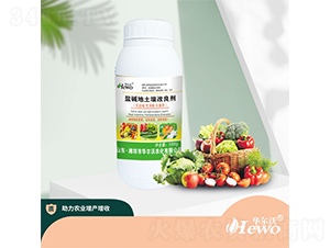 �}�A��������������ƿ��-�A����