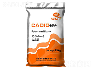 ���13.5-0-46-���_��-ɭ������