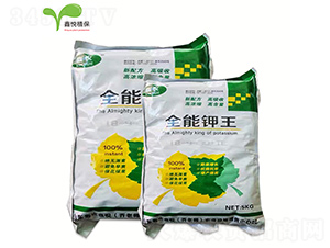 ���-�ΐ��r(n��ng)�I(y��)