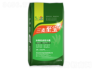 �ЙC���������{(di��o)��(ji��)��-��������-�����r(n��ng)�I(y��)