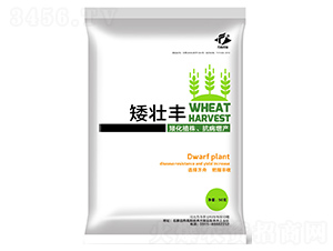 生長調(diào)節(jié)劑-矮壯豐-方舟農(nóng)業(yè)