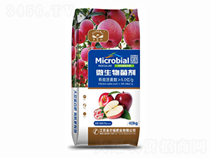 5�|΢�������-�ࠖ��-�𠖸�