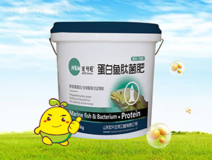 �����~�ľ���-������-��������