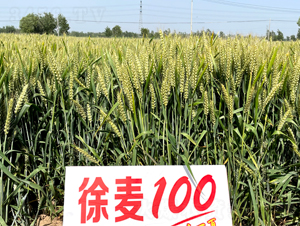 ����100-С���N��-���÷N�I(y��)