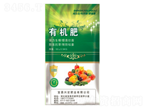 �ЙC(j��)��-�d��ʘI(y��)