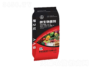 ΢�������-��֮��-��������