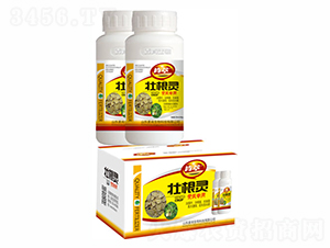 �Ѹ��`�S�Ό���-��������