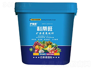 �VԴ�S�����-�Ƶ���-��˹��