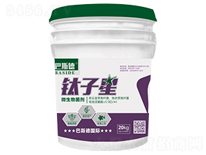 ΢�������-�����-��˹��