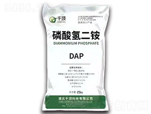 �������@DAP-ǧ�