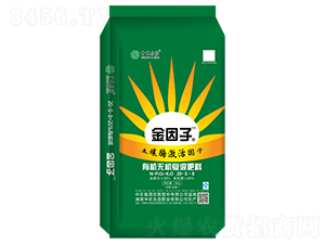 �ЙC(j��)-�o�C(j��)��(f��)�����20-5-8-������1+1-���r(n��ng)���B(t��i)