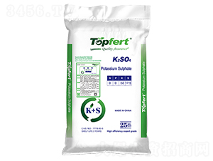 �����-̩���ط���