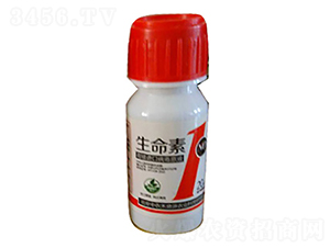 �����ޏ�(f��)��-������1̖(h��o)-���r(n��ng)����