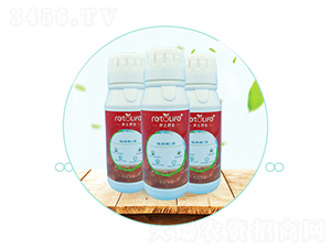 �V�GԴ-��������