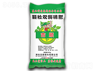 �w���p���׷�-���