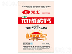 12%�^�����}-�������B(t��i)