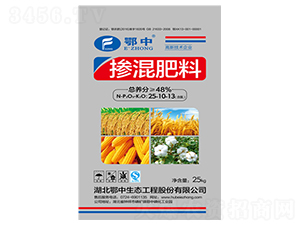 ���죨BB����25-10-13-�������B(t��i)