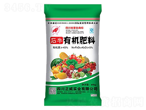 �ЙC(j��)����-�������I(y��)