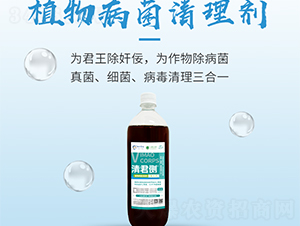 ֲ�ﲡ�����턩-�����(c��)-���S����