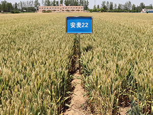 ����22-С���N��-����r(n��ng)��